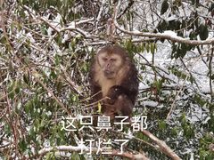 -九峰山