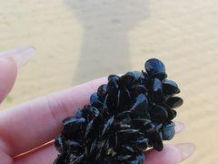 -西中岛海滨