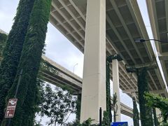 -上海市黄浦区教育学院附属中山学校