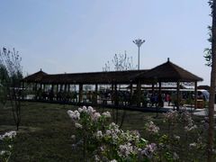 -呼兰河口湿地公园