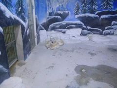 -石林冰雪海洋世界