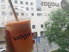 维他轰炸-Wagas沃歌斯(北京君太百货店)