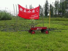 -田园东方蜜桃村的田野营地