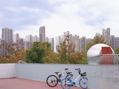 -上海山野camping·户外天幕烧烤·团建拓展营地