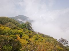 -阳台山自然风景区