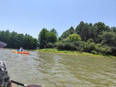 -上海海湾国家森林公园