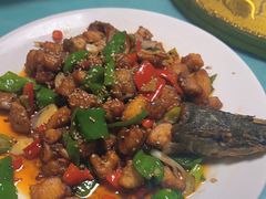 -煲来饱去冷水鱼