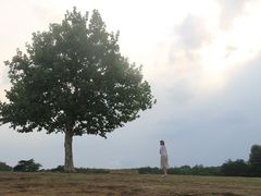 -钟山体育运动公园