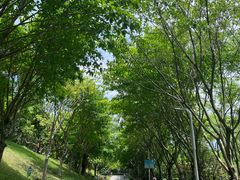-飞凤山奥体公园