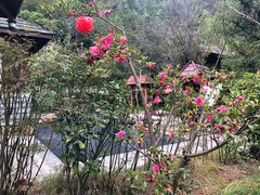 -中铁花水湾温泉酒店(大邑店)