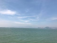 -演武大桥观景平台