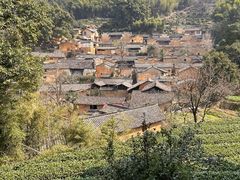 -杨家堂村