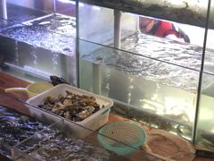 -海之鲜大排档(东山海鲜金銮湾店)