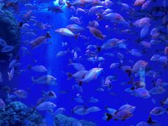 -成都浩海立方海洋公园