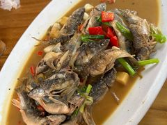 红烧石斑鱼-芦茨金富饭庄·25年老字号·专做稻草鸡
