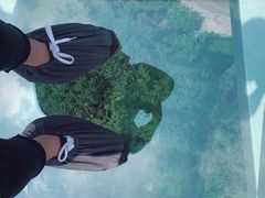 -陕西省红河谷森林公园