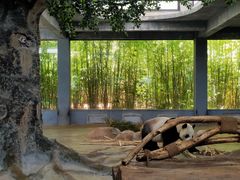 -海南热带野生动植物园