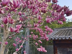 -武汉园博园(武汉自然博物馆)