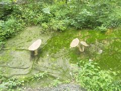 -吉林市朱雀山国家森林公园