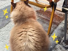 -seeu coffee(江滩店)