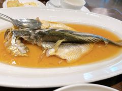 -张生记(丁香国际店)
