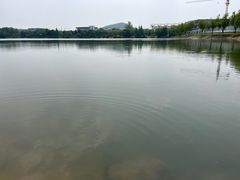 -羊山湖公园