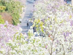 -福田红树林生态公园