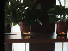 -江小渔鲜鱼火锅(西二道街店)