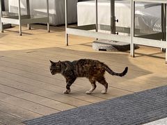 -UNI UNI(环亚凯瑟琳店)