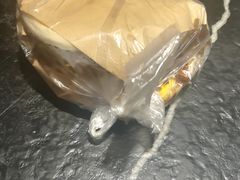 -清真盛志望麻酱酿皮·非遗老字号