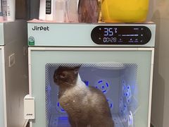 -御宝贝·A梦猫科宠物医院(国际猫友好医院)