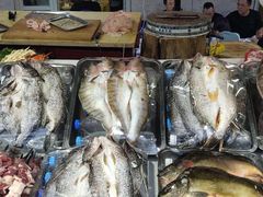 -新疆风味冷水鱼庄(友谊峰路店)