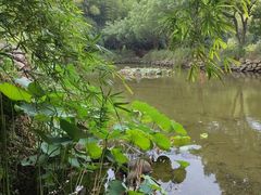 -九龙潭景区