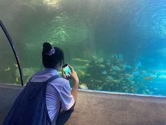 -太平洋海底世界