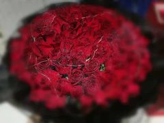 -乐潮汇时尚量贩式KTV(嘉业国际城购物中心店)