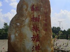 -东寨港红树林旅游区