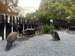 -J Create城市露营咖啡·简餐·宠物(上海动物园店)