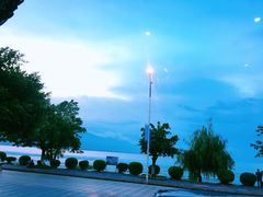 -野菌皇海景野生菌火锅(滨海大道店)