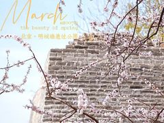 -北京明城墙遗址公园