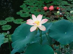 -国家植物园南园
