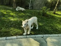 -北京野生动物园