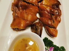 -骏莱海鲜鱼港(五角场店)