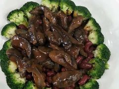 -顺德了能馆(虎门店)