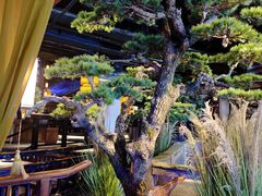 -绿茶餐厅(光谷世界城步行街店)