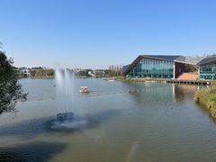 -上海长兴岛郊野公园