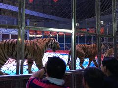 -西安秦岭野生动物园