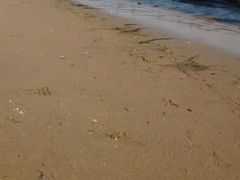-海滨浴场