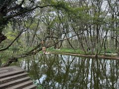 -西溪南古村落景区
