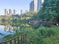 -重庆彩云湖湿地公园