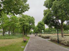-上海山野camping·户外天幕烧烤·团建拓展营地